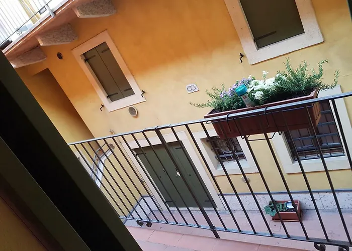 Elly\'S House